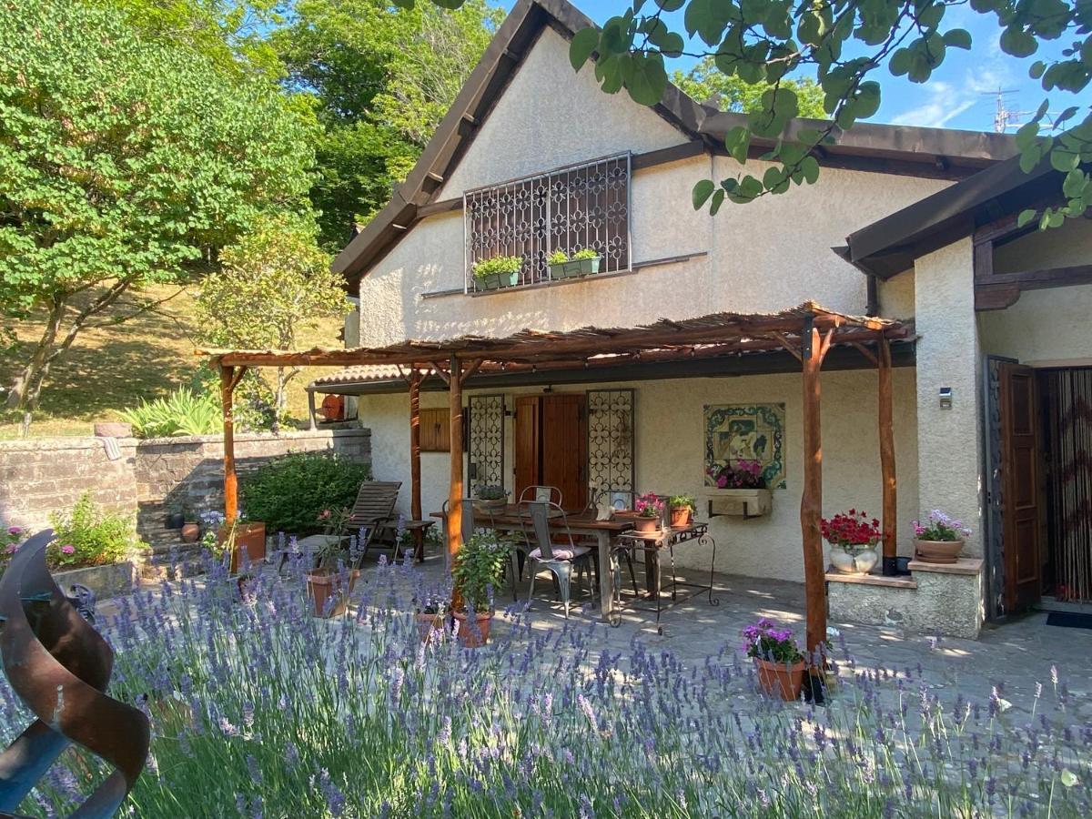La Colombaia Amiata Bed and Breakfast Arcidosso Buitenkant foto